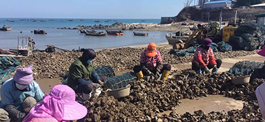 乳山匠心蚝品_新闻中心